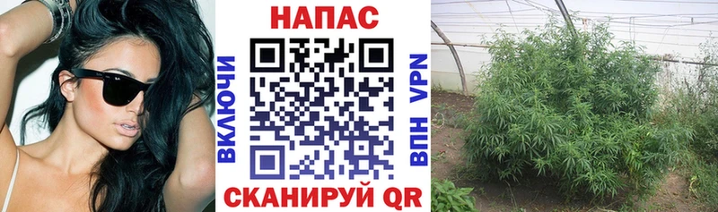 Купить наркотик Коркино Cocaine  ОМГ ОМГ как зайти  НБОМе  Псилоцибиновые грибы  Бошки Шишки  Alpha-PVP  АМФ  ГАШ  Меф 