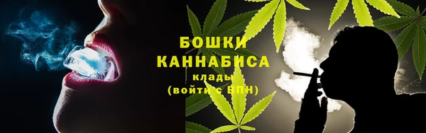 мдпв Саяногорск