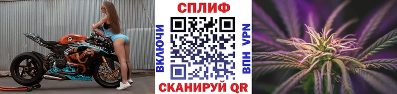 Конопля SATIVA & INDICA  где купить наркотик  Коркино 